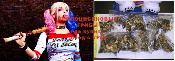 spice Дмитриев